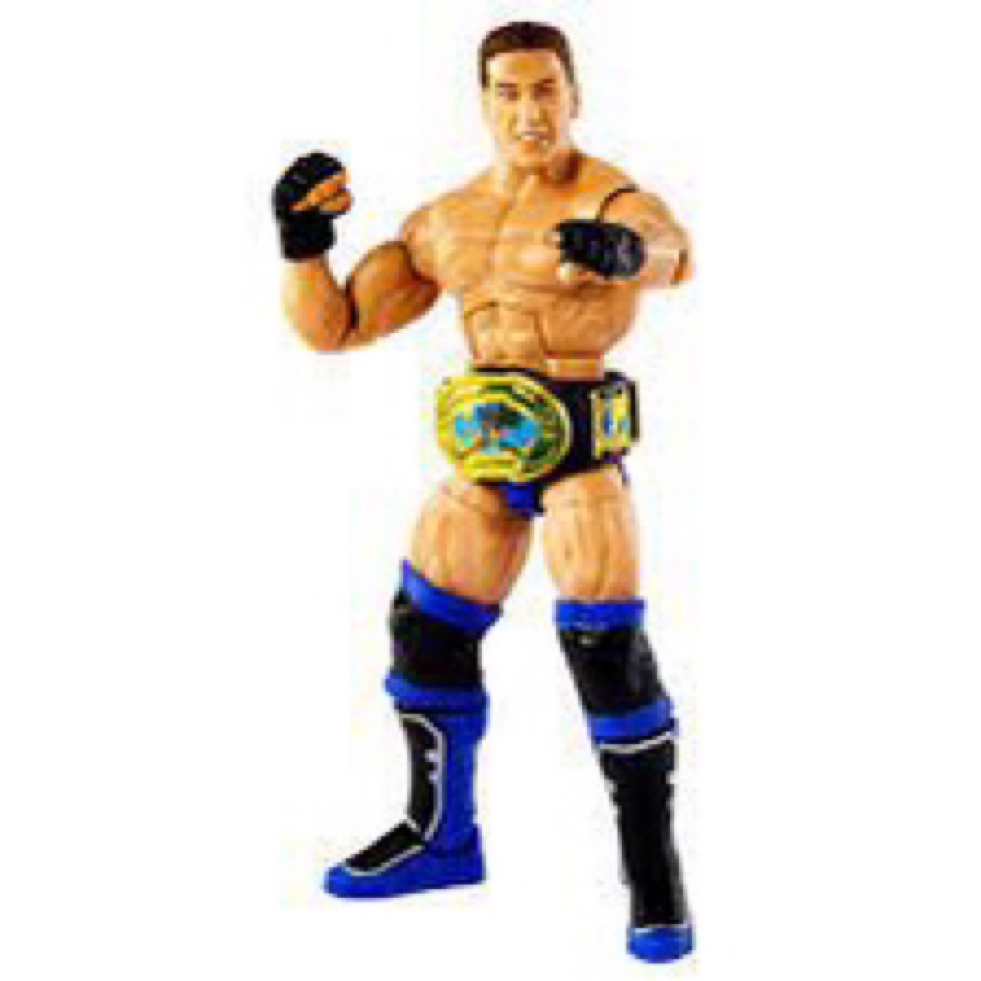 Ken shamrock top action figure